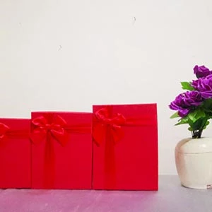 red-suit-ribbon-box