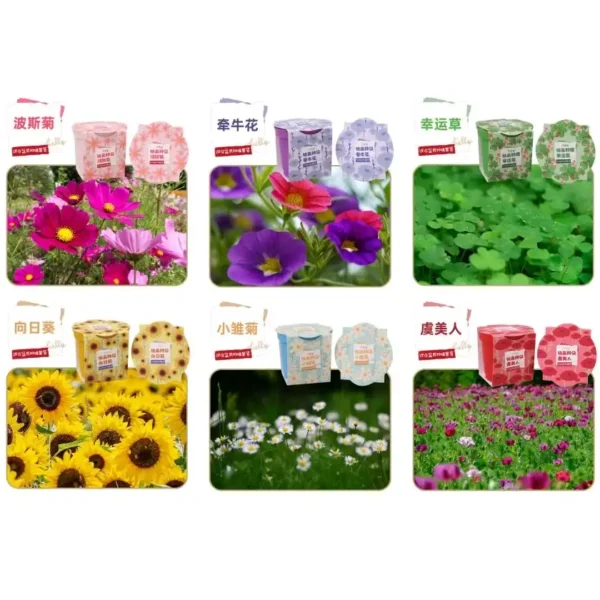 "Flower Planting Kit for Beginners"