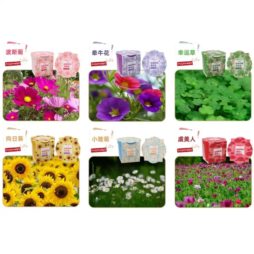 "Flower Planting Kit for Beginners"