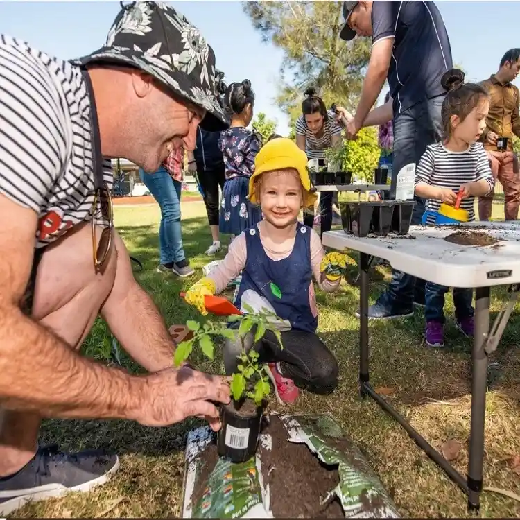 Rustic Tin Can Indoor Planting Kit
