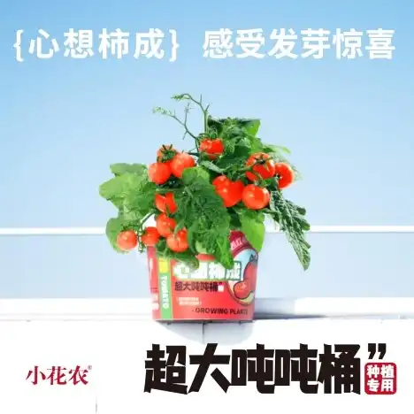 Cute Mini Plant Growing Kit